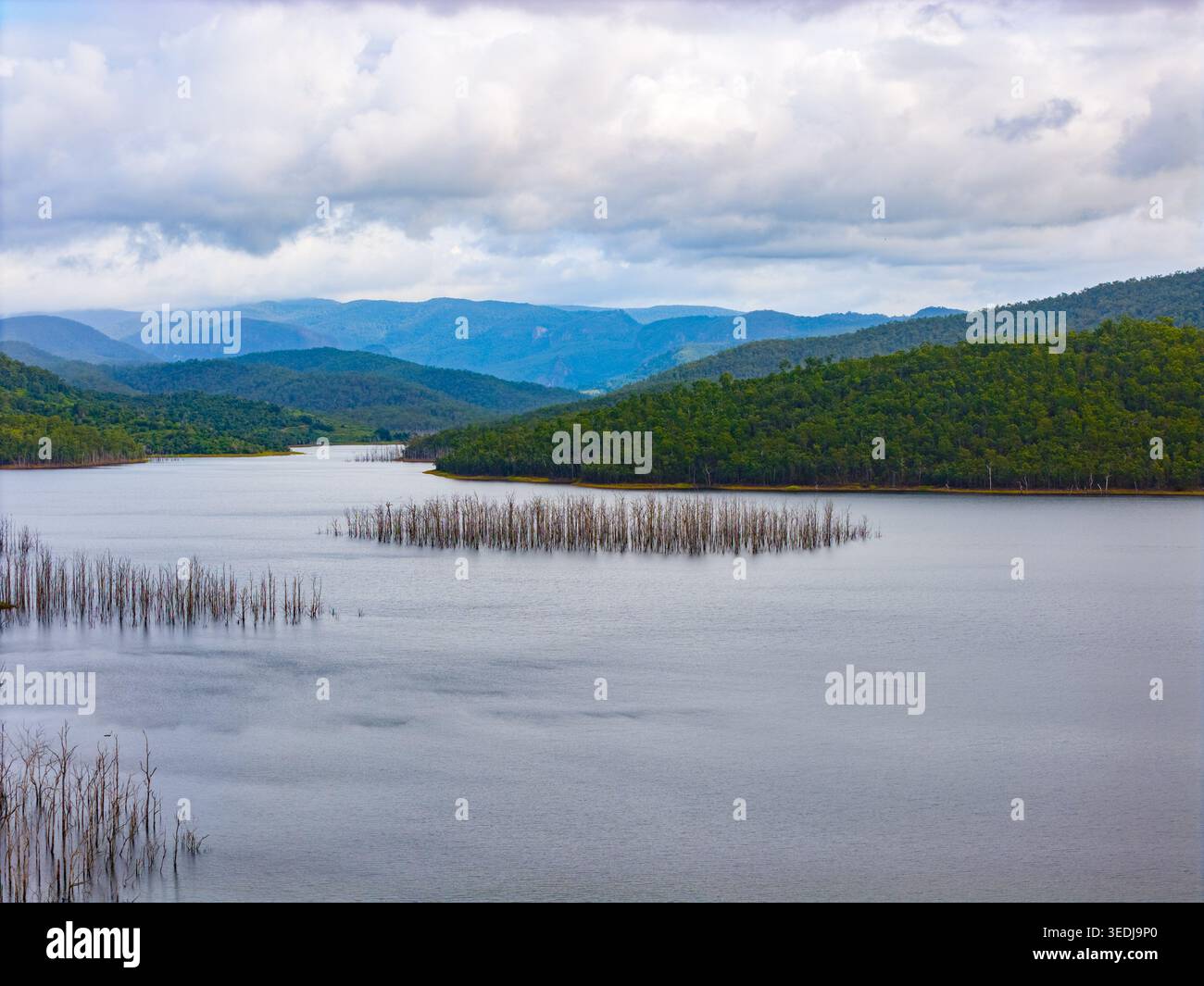 Un réservoir paisible avec des troncs d'arbres squelettiques s'élevant d'une eau calme sur fond de collines et de montagnes luxuriantes. Banque D'Images