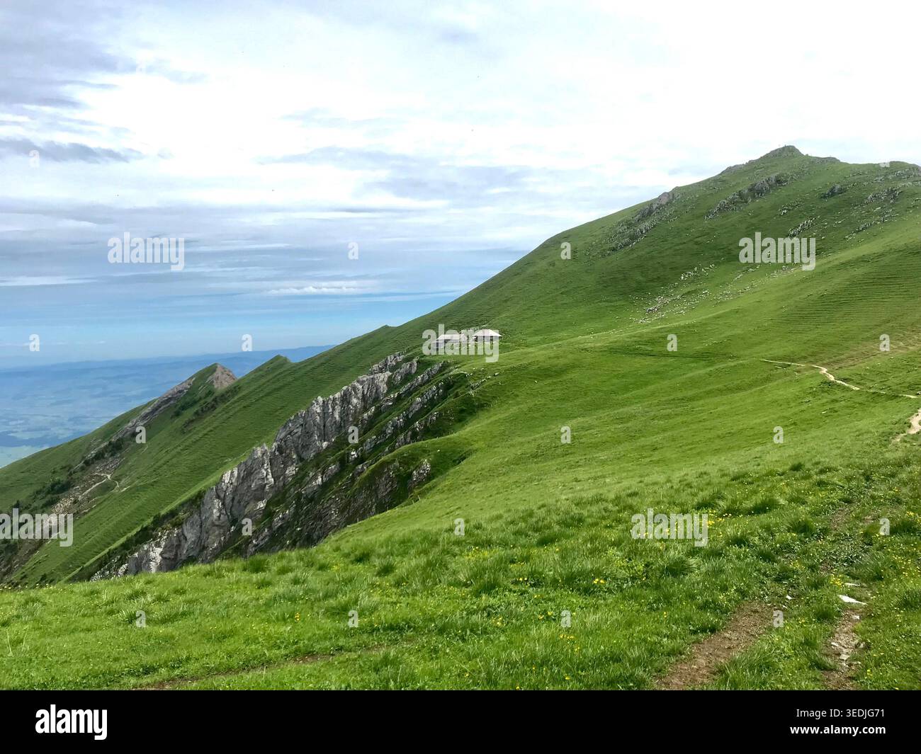 Paysage alpin paisible avec des prairies vertes luxuriantes et Mountain Hut, région de Gantrisch, Alpes suisses Banque D'Images