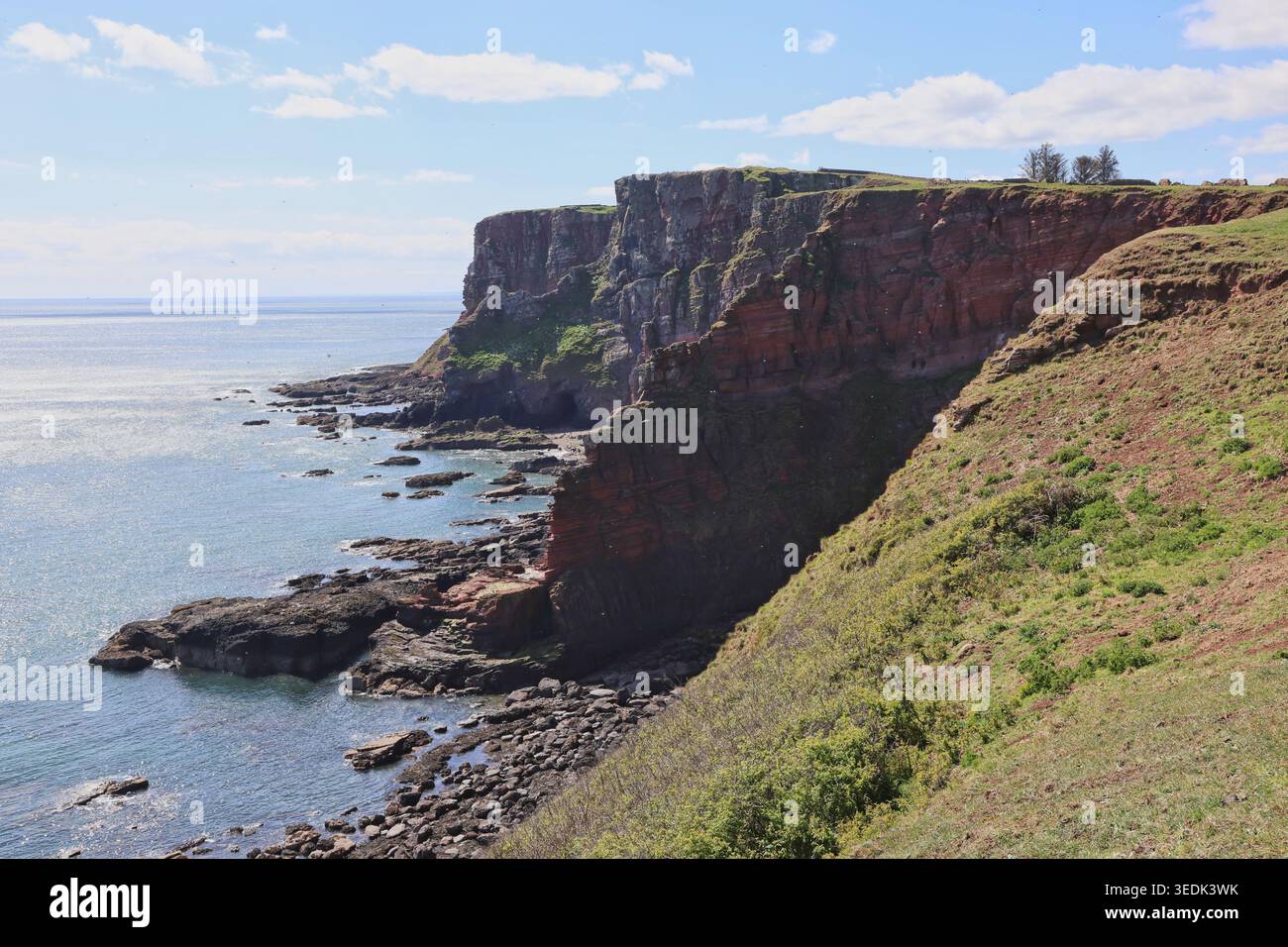 Falaises de grès rouge près d'Ethie Angus Écosse mai 2026 Banque D'Images