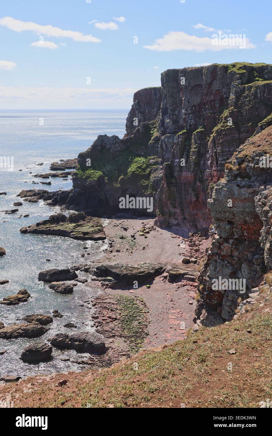 Falaises de grès rouge près d'Ethie Angus Écosse mai 2026 Banque D'Images