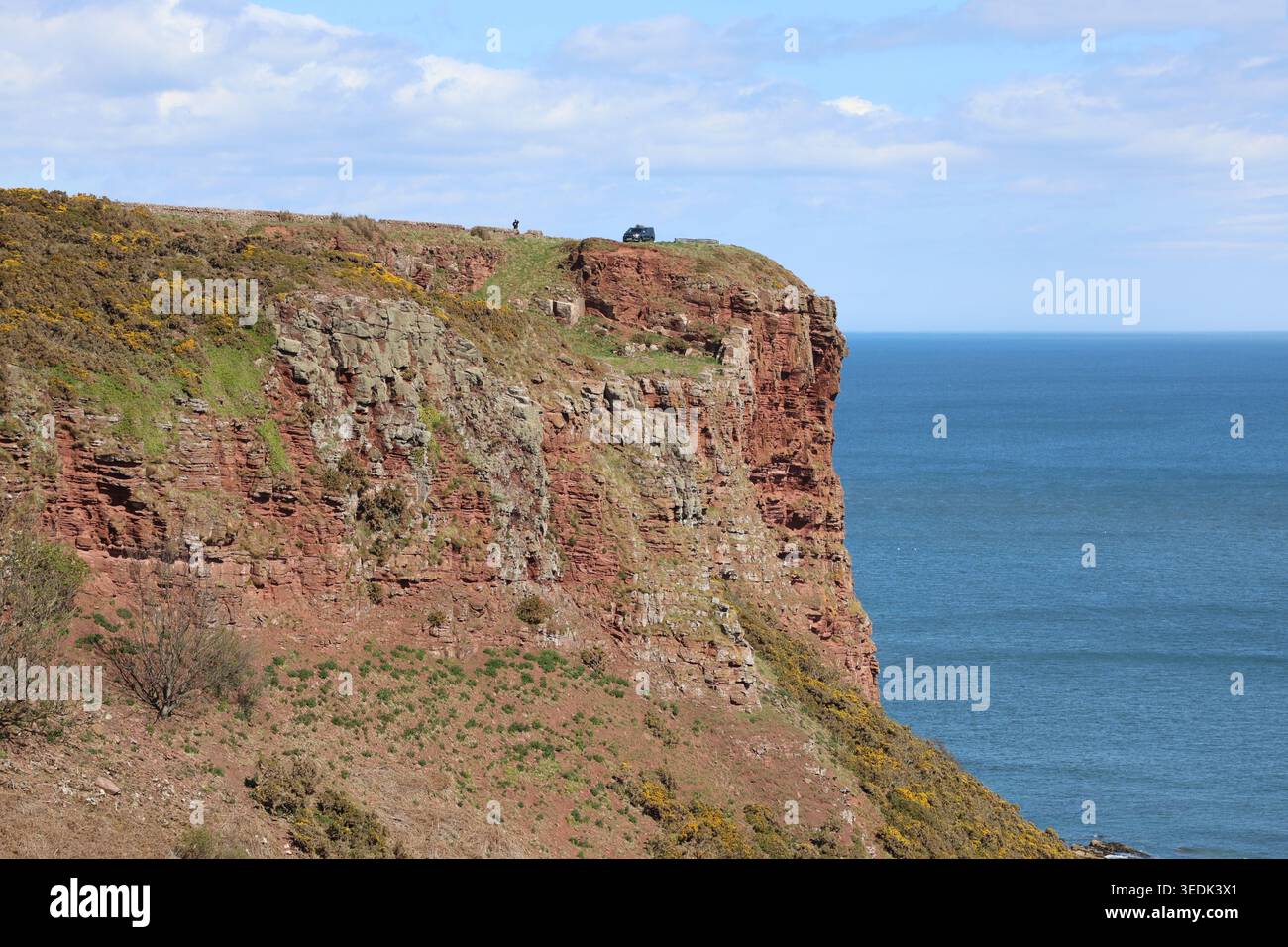 Falaises de grès rouge près d'Ethie Angus Écosse mai 2026 Banque D'Images