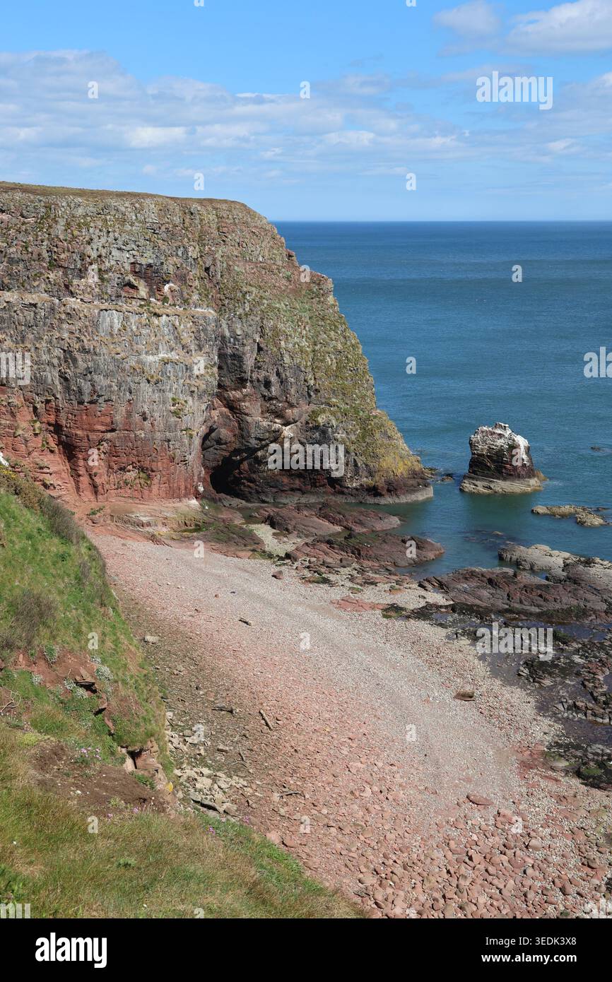 Falaises de grès rouge près d'Ethie Angus Écosse mai 2026 Banque D'Images