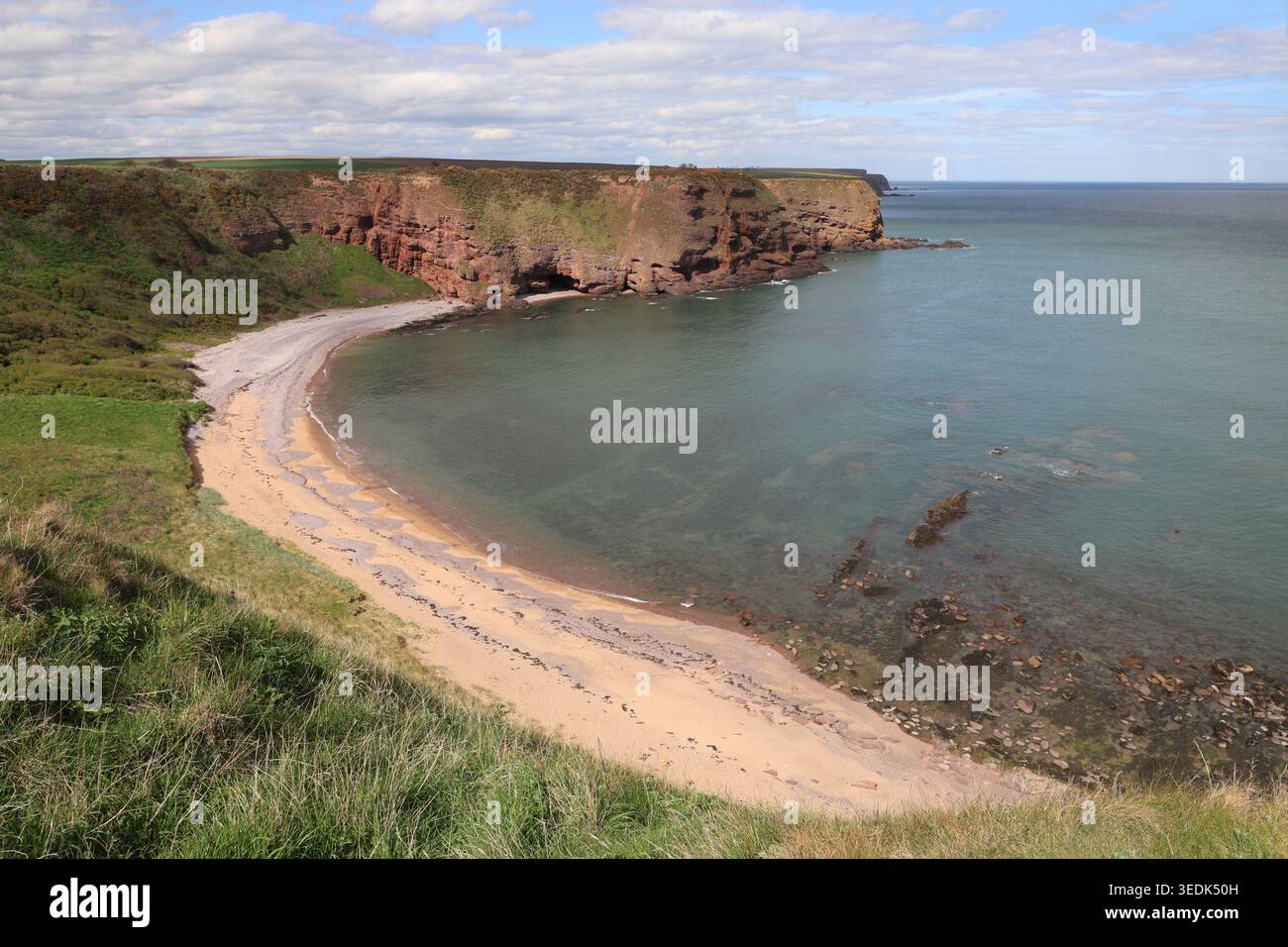 Falaises de grès rouge et sable doré Carlingheugh Bay Angus Écosse mai 2026 Banque D'Images
