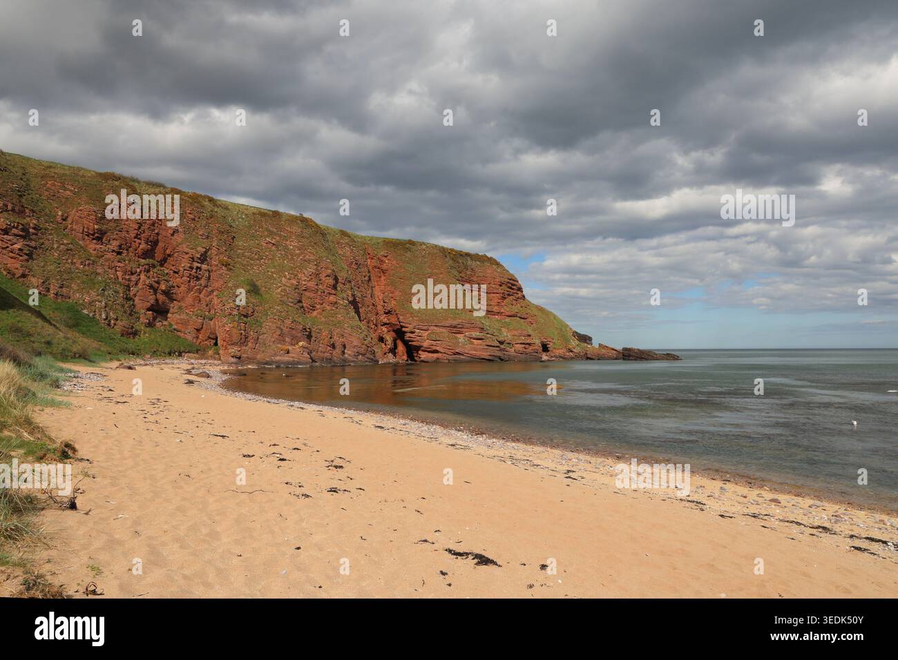 Falaises de grès rouge et sable doré Carlingheugh Bay Angus Écosse mai 2026 Banque D'Images