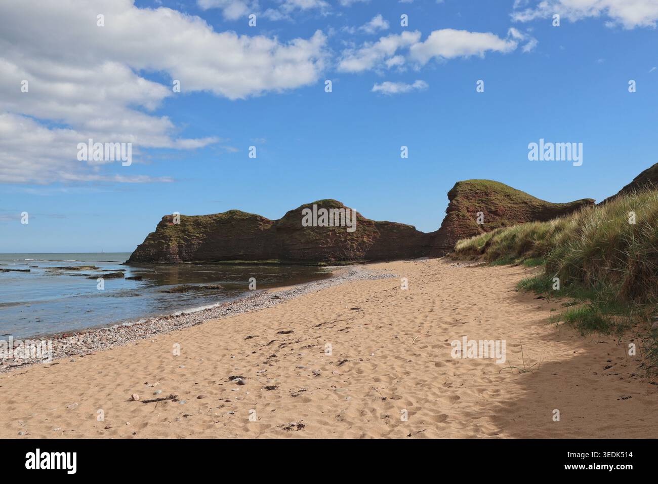 Falaises de grès rouge et sable doré Carlingheugh Bay Angus Écosse mai 2026 Banque D'Images