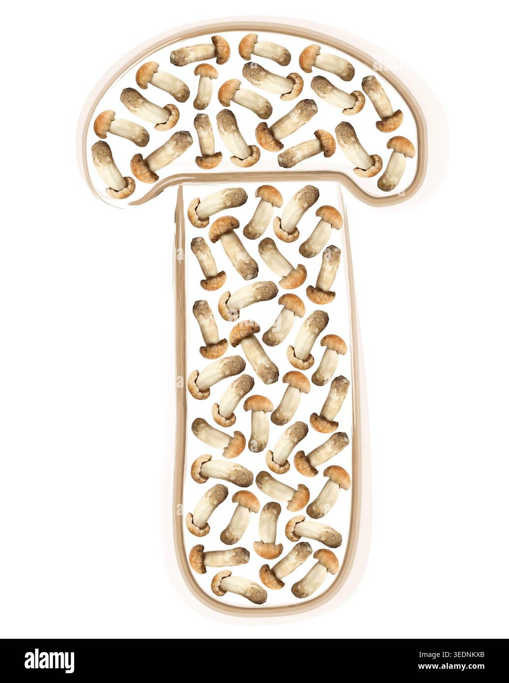 Champignons disposés en forme de champignons sur fond blanc Banque D'Images