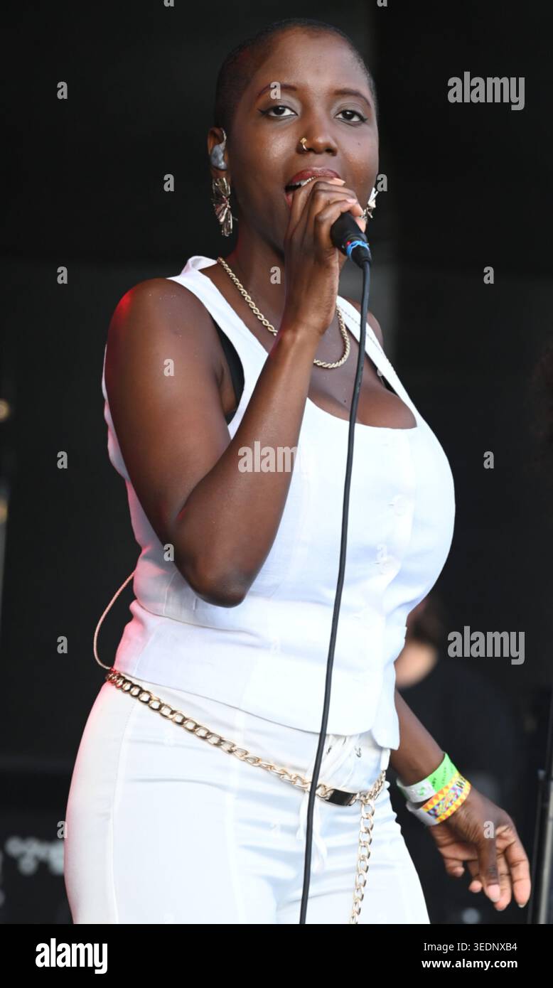 Soul II Soul se produit sur scène au GuilFest 2025 à Guildford le 5 juillet 2025. Crédit : Andrew Blondell / Alamy. Banque D'Images