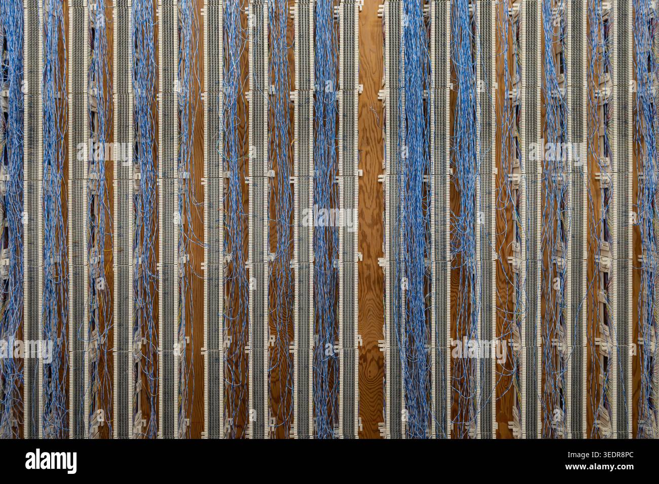 Vue large des panneaux de câblage de télécommunications remplis de câbles réseau bleus dans une salle de service ou de communication. Banque D'Images