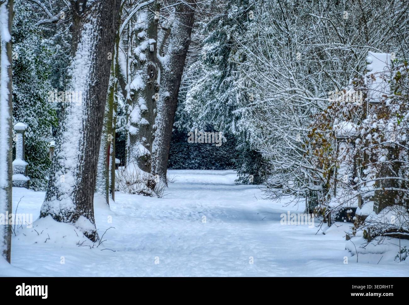 Sentier dans un cimetière historique à Düsseldorf en hiver Banque D'Images