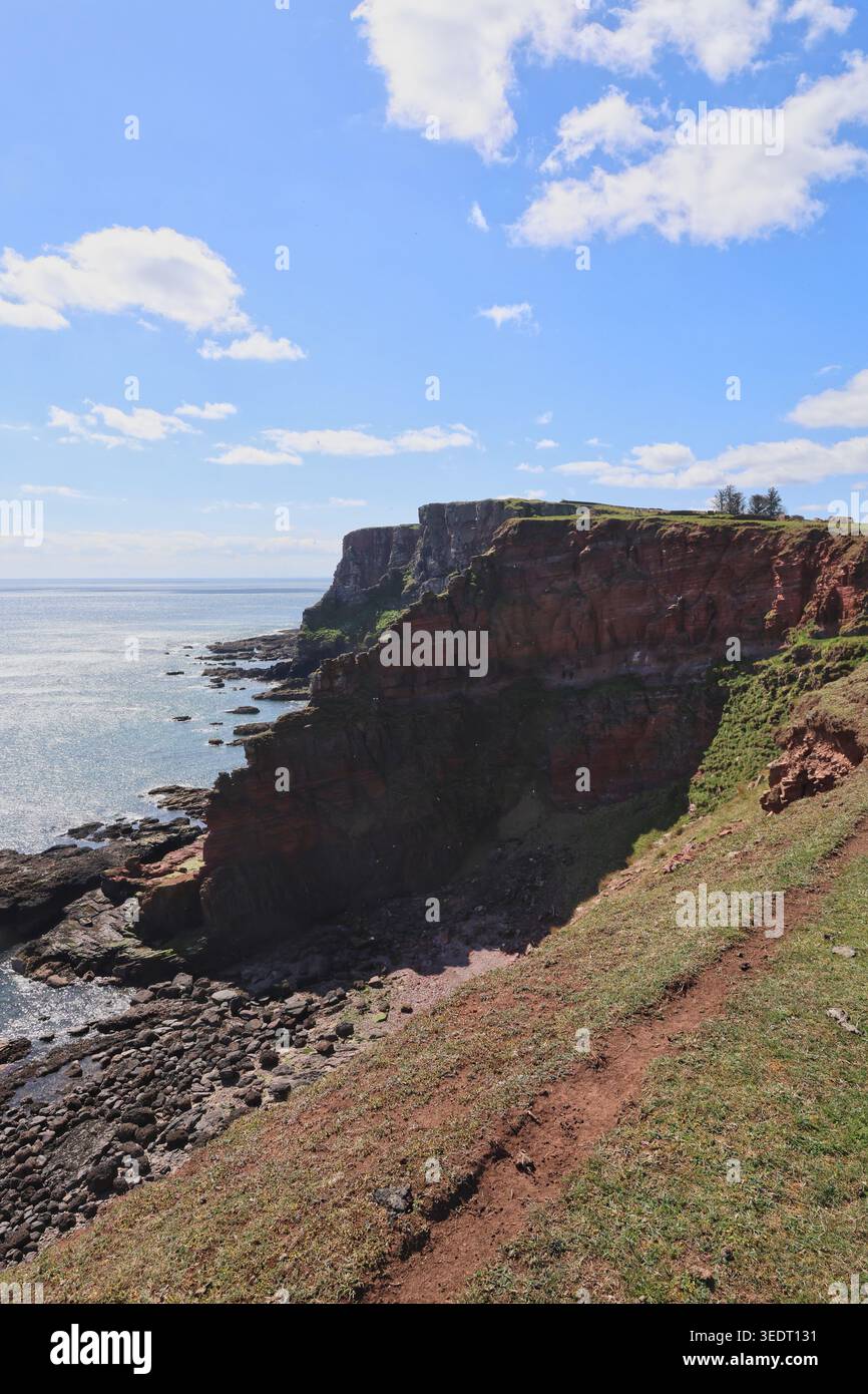 Falaises de grès rouge près d'Ethie Angus Écosse mai 2026 Banque D'Images
