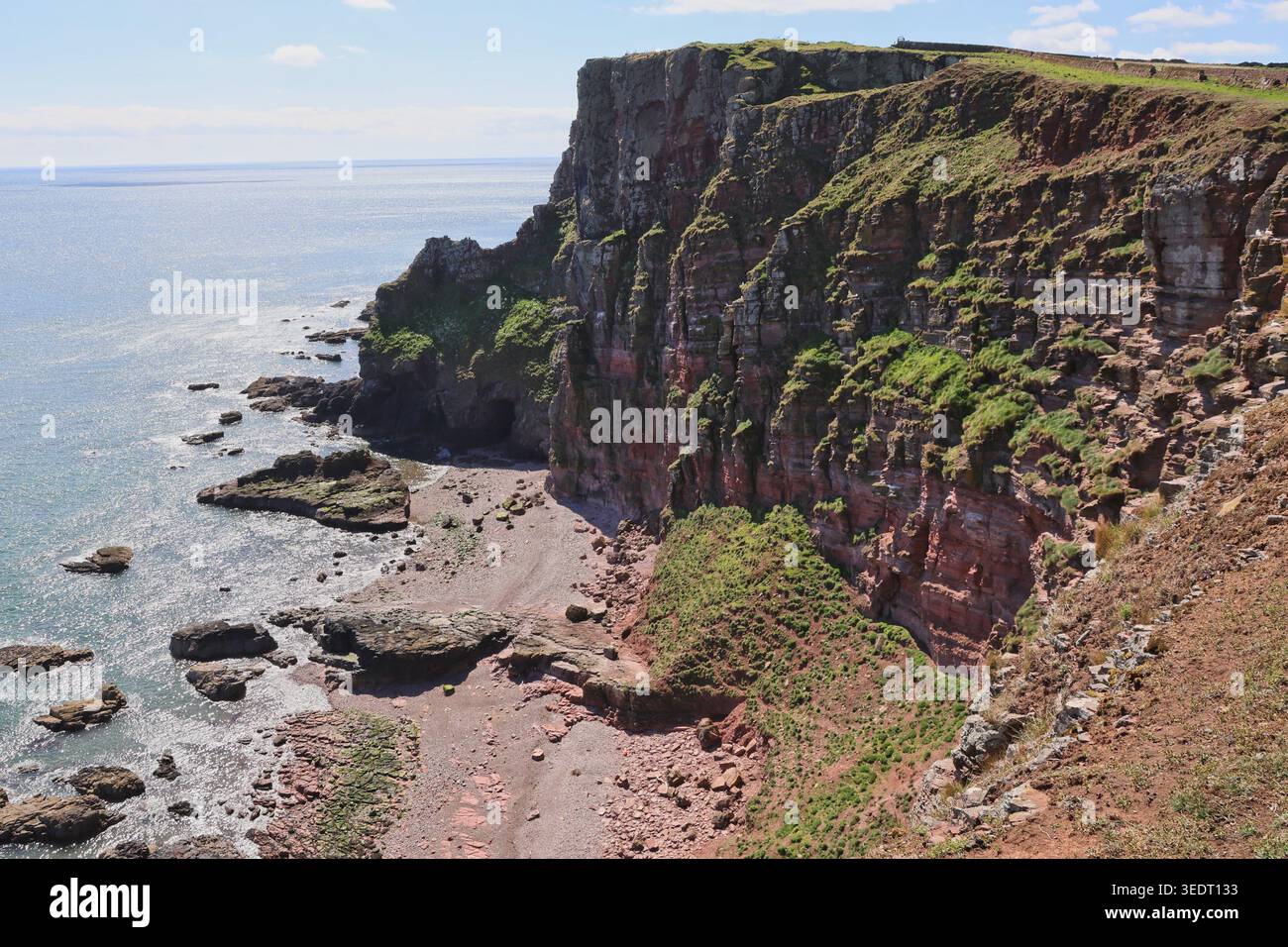 Falaises de grès rouge près d'Ethie Angus Écosse mai 2026 Banque D'Images