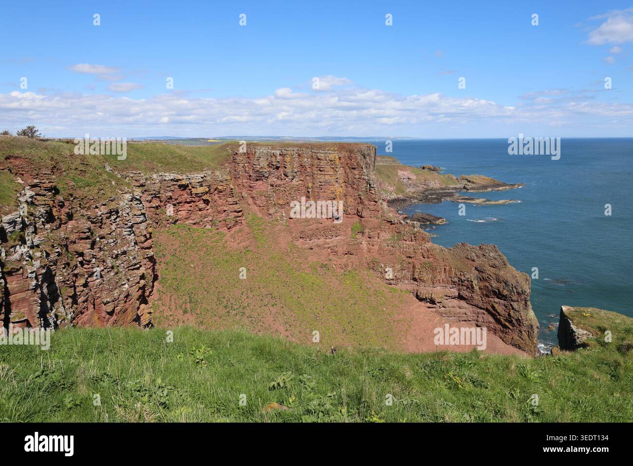 Falaises de grès rouge près d'Ethie Angus Écosse mai 2026 Banque D'Images