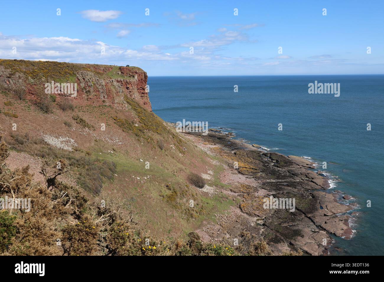 Falaises de grès rouge près d'Ethie Angus Écosse mai 2026 Banque D'Images