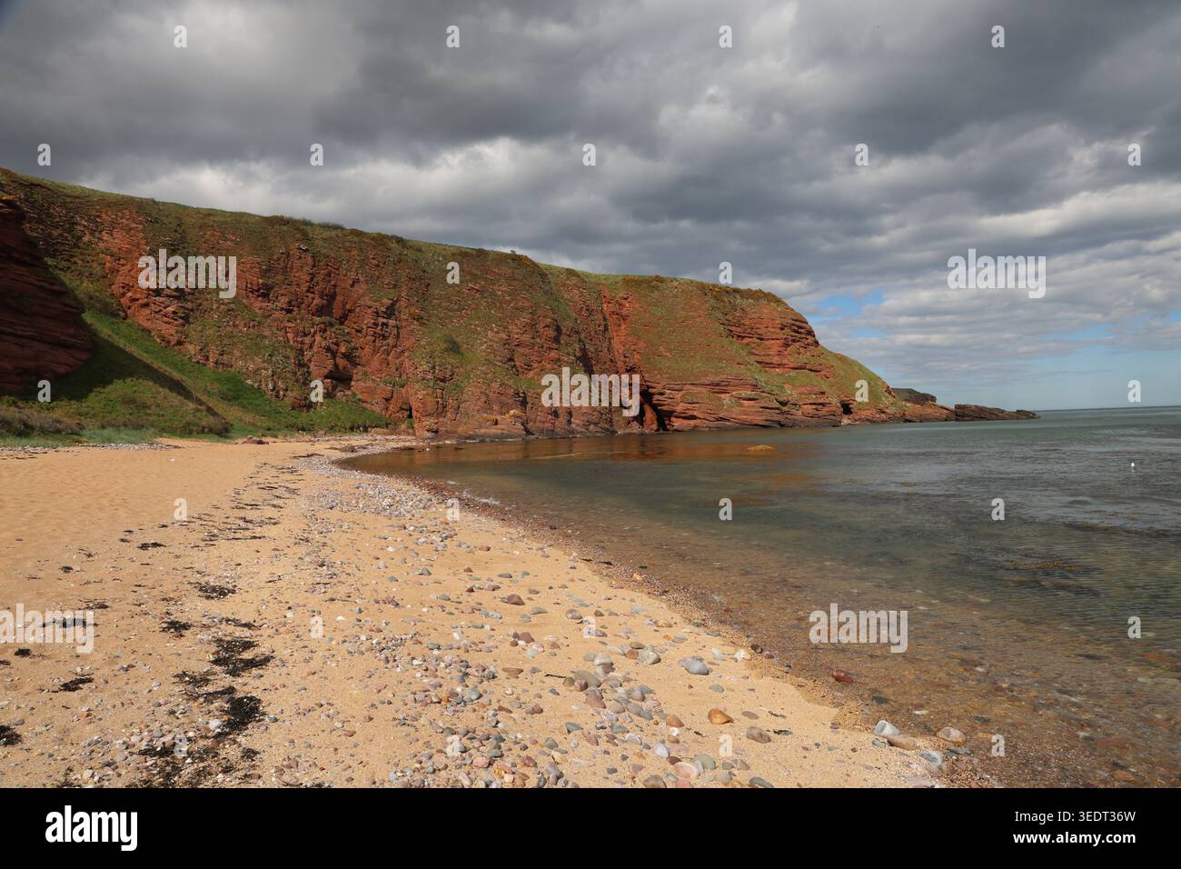 Falaises de grès rouge et sable doré Carlingheugh Bay Angus Écosse mai 2026 Banque D'Images