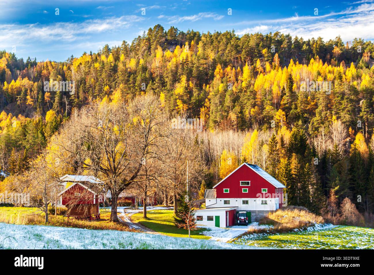 Ferme à l'automne près du village de Bo, Norvège Fylke Telemark. Banque D'Images