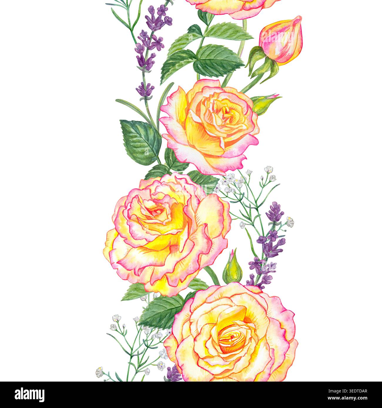 Belle bordure verticale sans couture aquarelle de roses roses jaunes, de feuilles et de lavande en forme de vague. Illustration florale botanique isolée sur blanc Banque D'Images