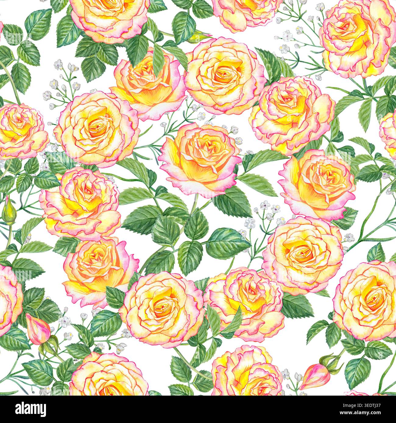 Motif aquarelle sans couture avec des roses roses roses jaunes, des fleurs de gypsophila et des feuilles vertes sur fond blanc. Illustration florale botanique Banque D'Images
