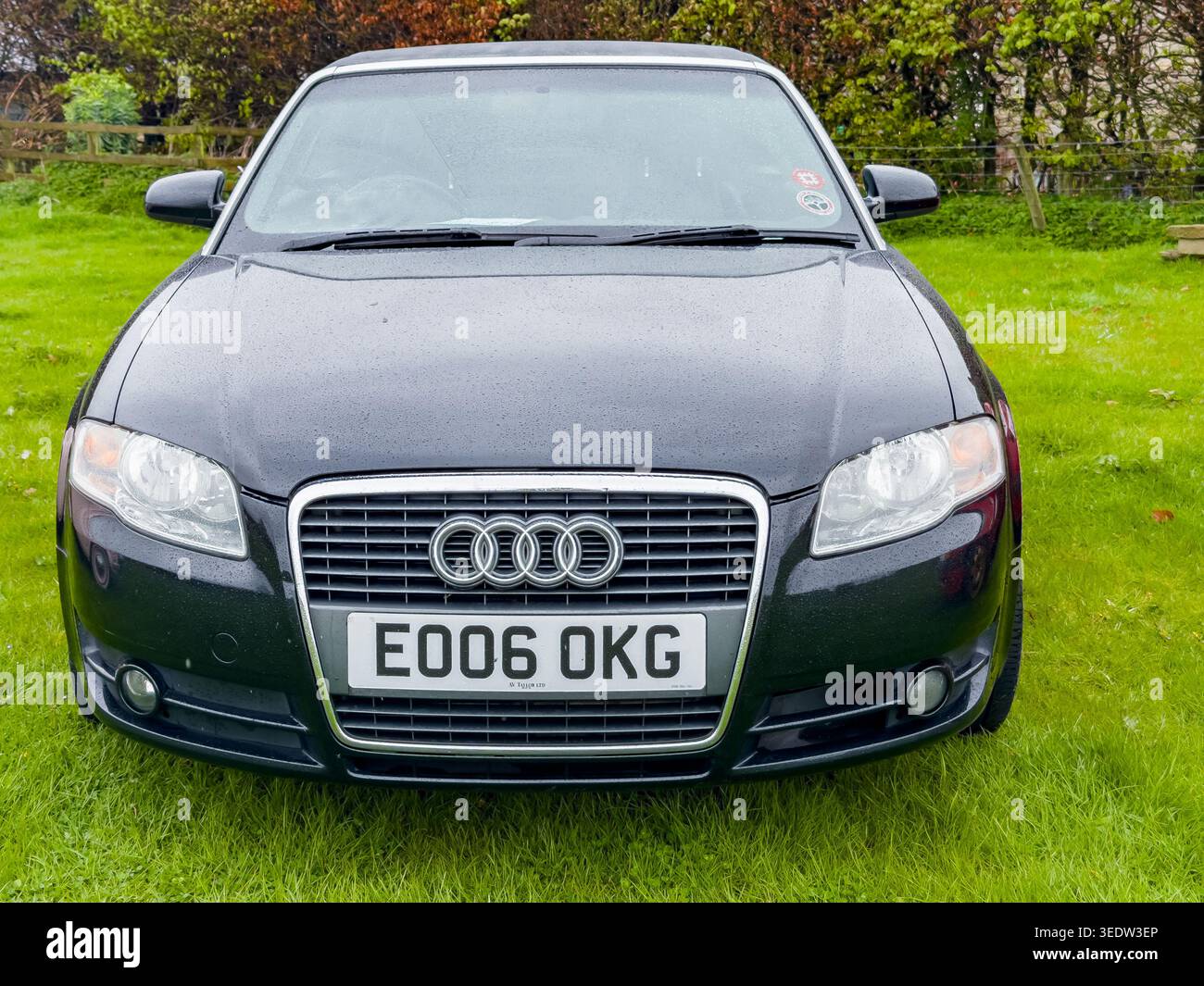 Vue de face d'une berline Audi A4 noire 2006 garée sur un terrain d'herbe verte dans un cadre rural - Image de stock capturée avec un smartphone