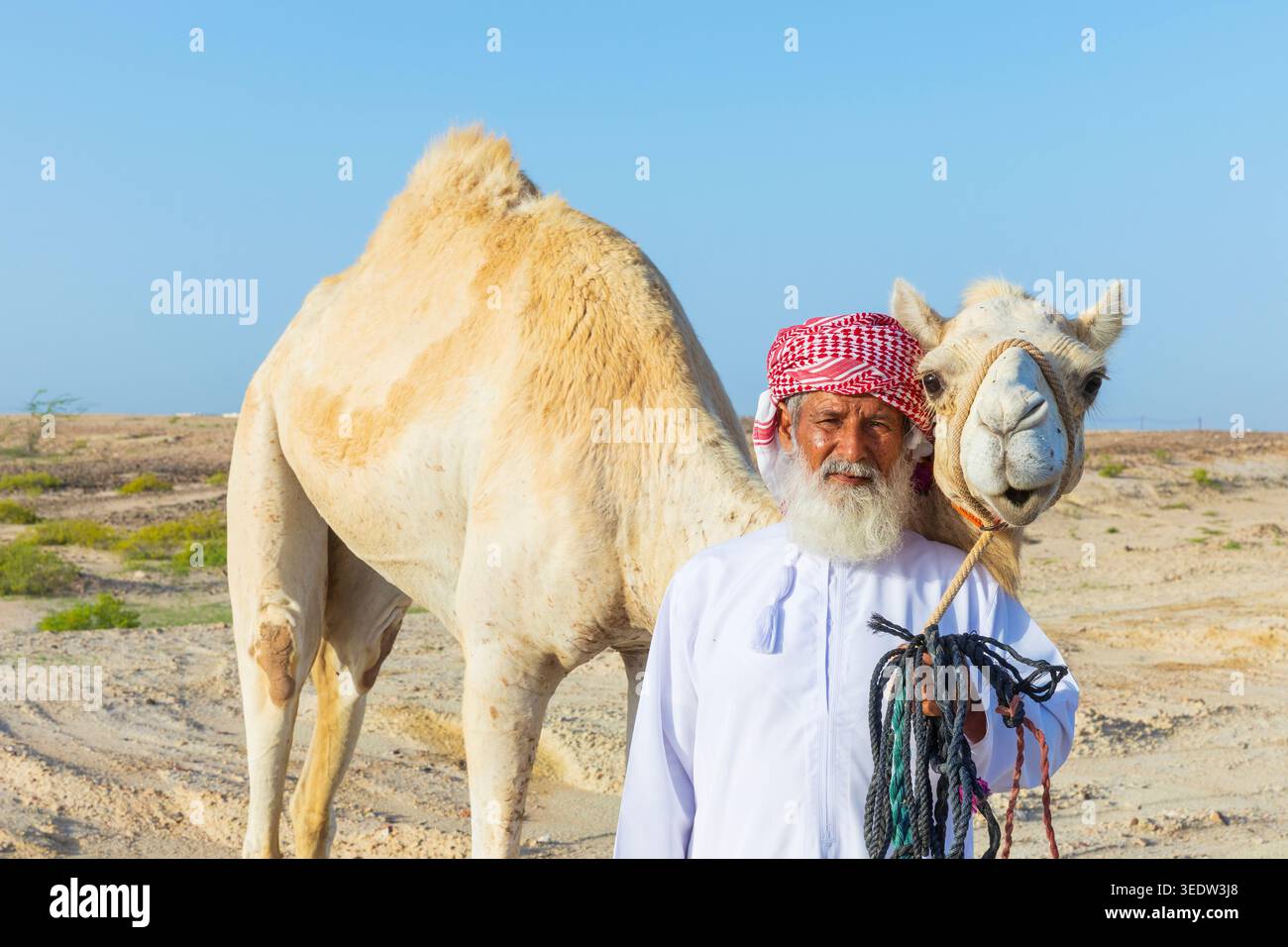 Un homme omanais en tenue traditionnelle avec son dromadaire à Ras al Hadd dans le Sultanat d'Oman Banque D'Images