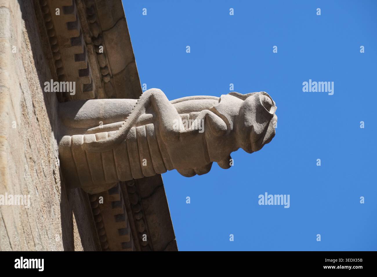 Statue de gargouille s'étendant d'un mur à la cathédrale de Barcelone, Espagne Banque D'Images