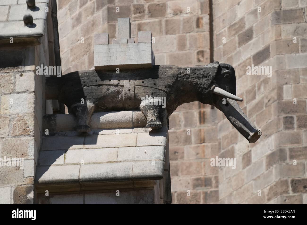 Statue d'éléphant de gargouille sur le mur de la cathédrale médiévale de Barcelone, conçue pour évacuer l'eau de pluie Banque D'Images