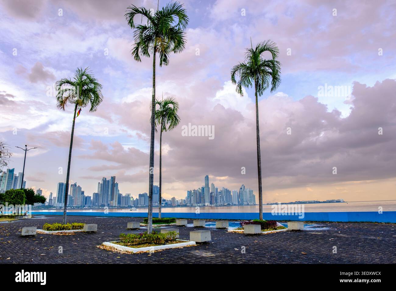 Panama City skyline, palmiers, vue sur le paysage urbain de Cinta Costera, Panama, Amérique centrale Banque D'Images