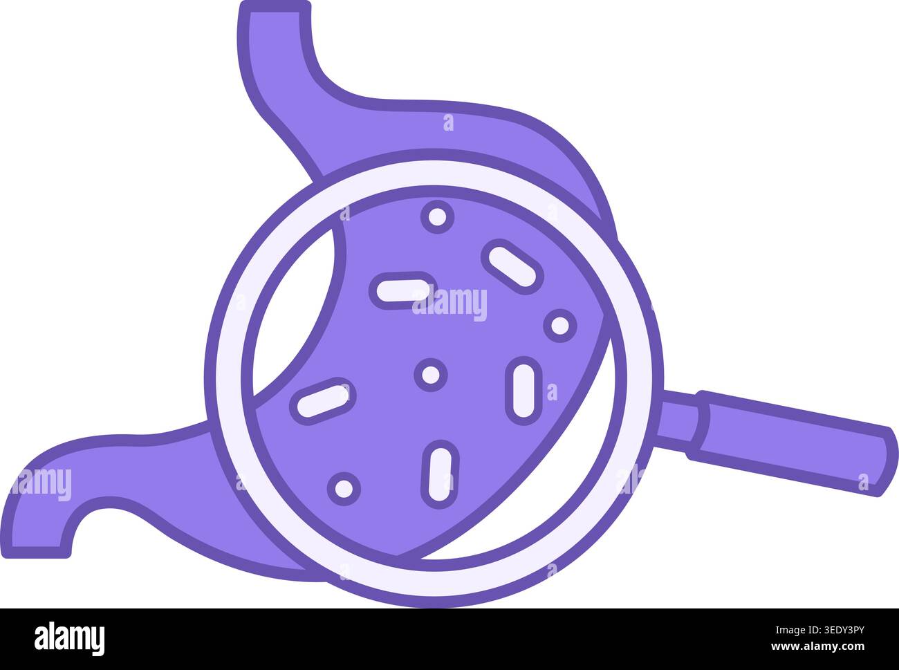 Icône probiotiques colorée. Illustration vectorielle. Estomac et loupe. Bactéries lactiques, microflore. Mode de vie sain. Concept de nutrition Illustration de Vecteur