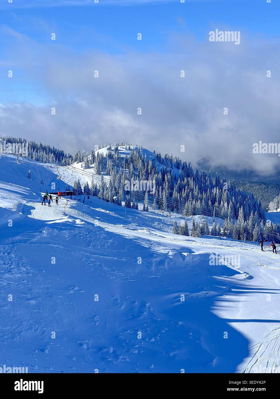 Pistes de ski enneigées et forêts de pins sur la montagne Jahorina sous les nuages spectaculaires et la lumière du soleil d'hiver. - Image de stock capturée avec un smartphone