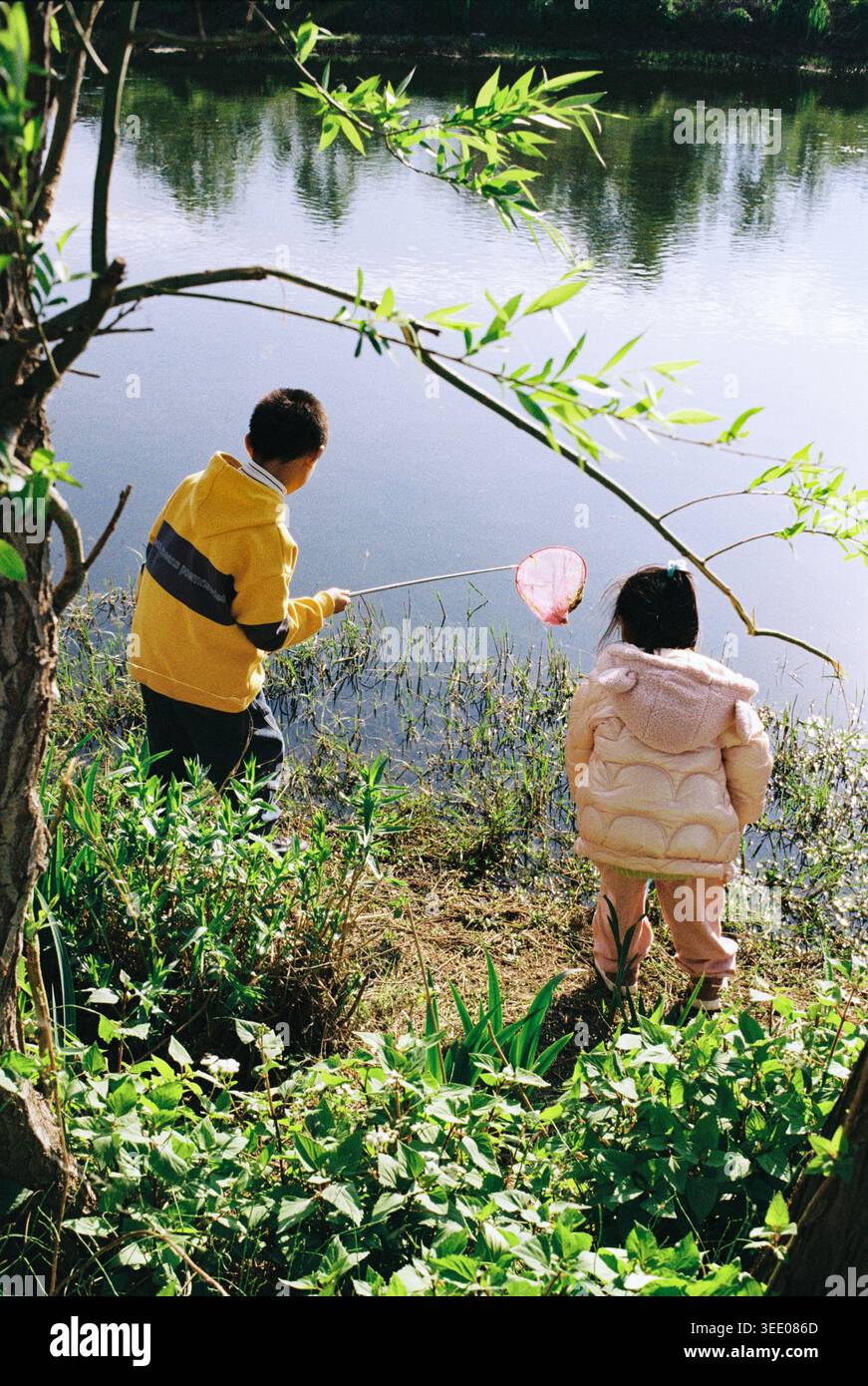 Deux enfants explorant ensemble au bord d'un lac calme par une journée ensoleillée, jouant avec des filets parmi la verdure, nostalgique photographie de style film Banque D'Images