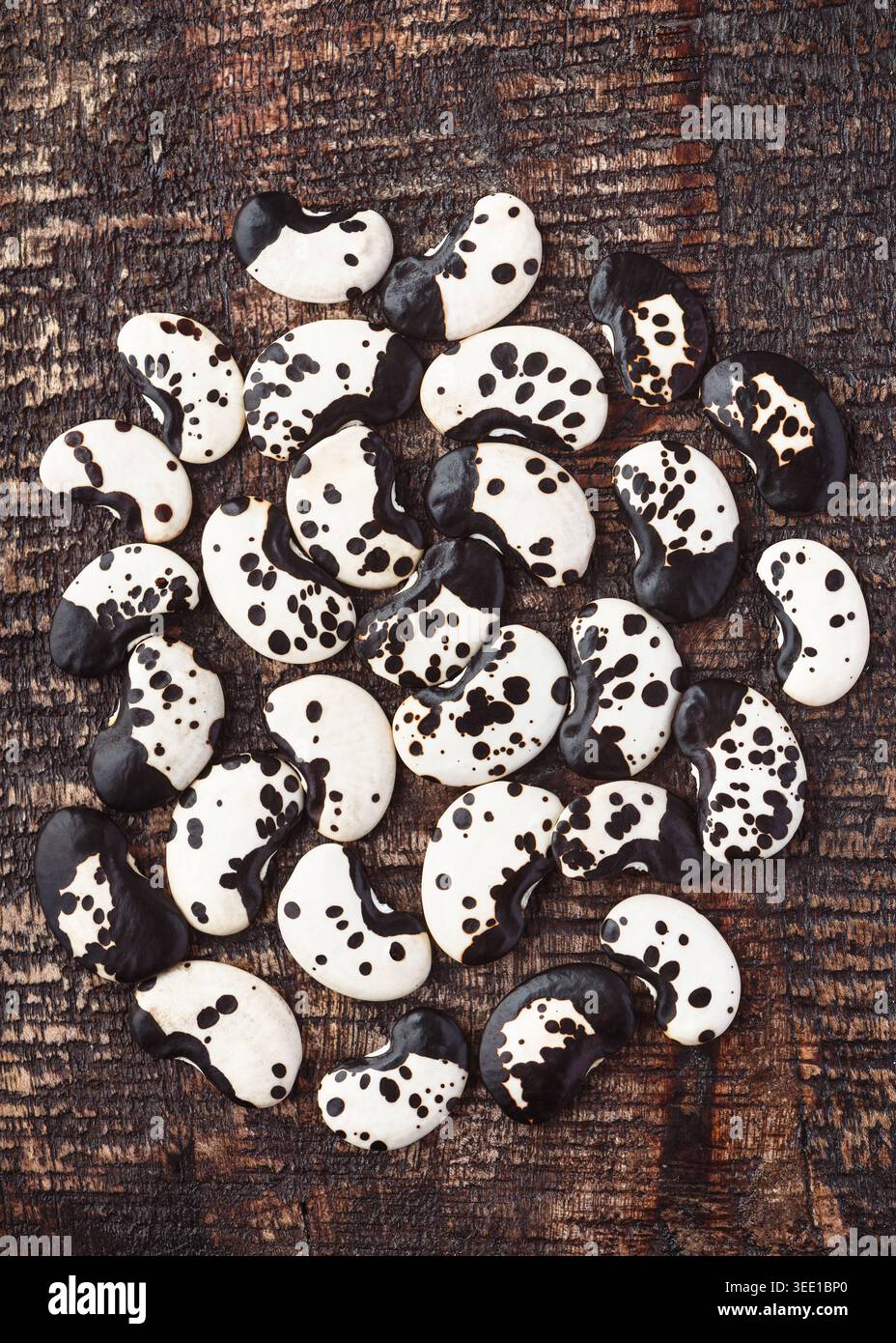 Beau motif dalmatien sur haricots secs crus de lima (Phaseolus lunatus). Grand groupe de haricots de beurre bio mouchetés noirs et blancs. Banque D'Images