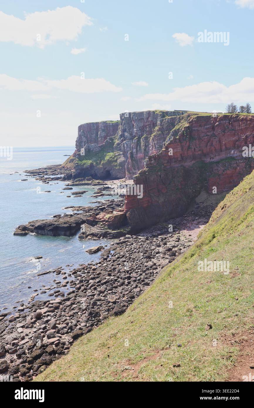 Falaises de grès rouge près d'Ethie Angus Écosse mai 2026 Banque D'Images