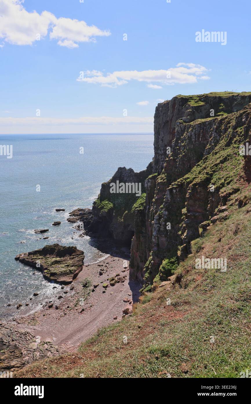 Falaises de grès rouge près d'Ethie Angus Écosse mai 2026 Banque D'Images