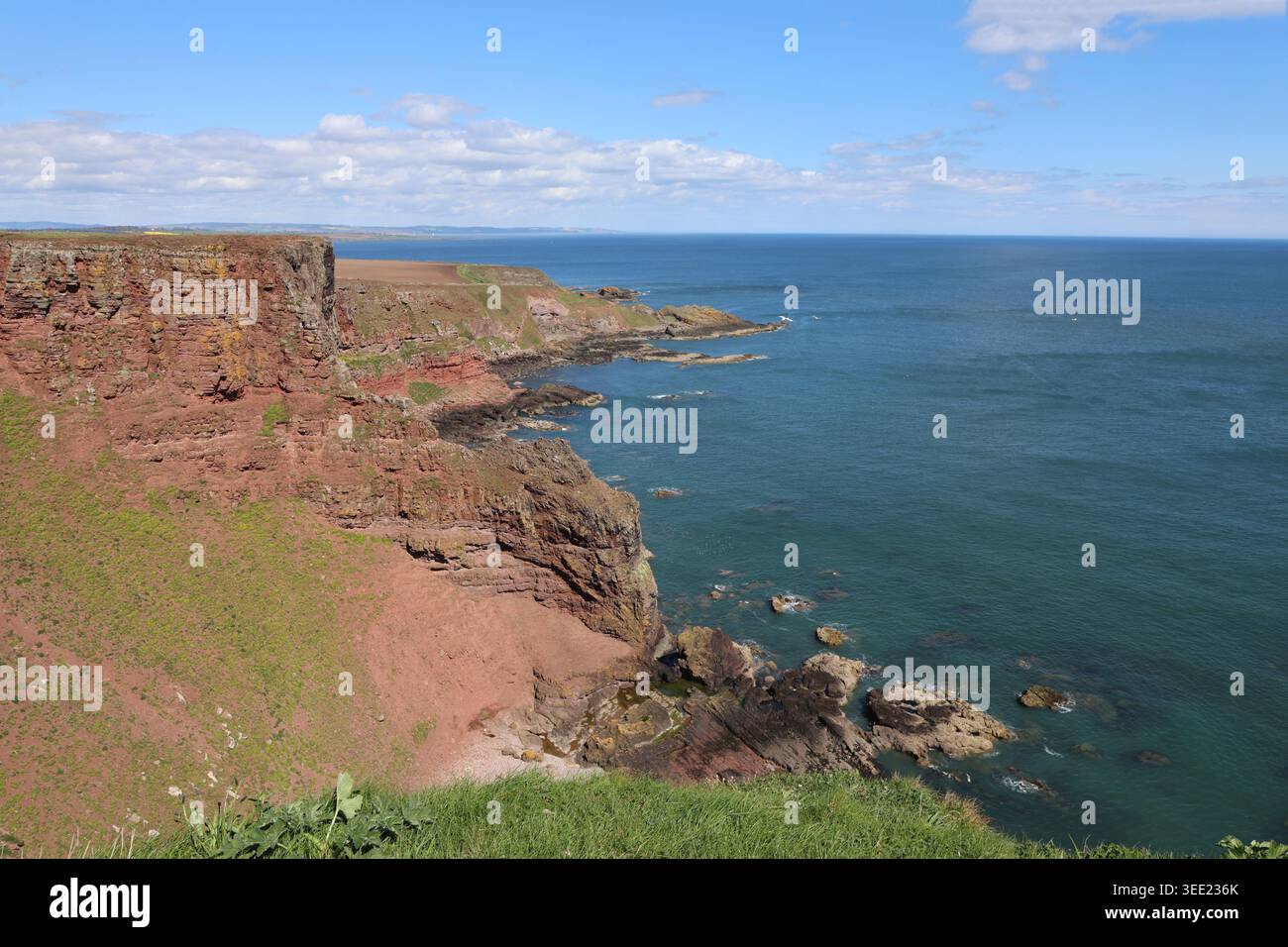Falaises de grès rouge près d'Ethie Angus Écosse mai 2026 Banque D'Images
