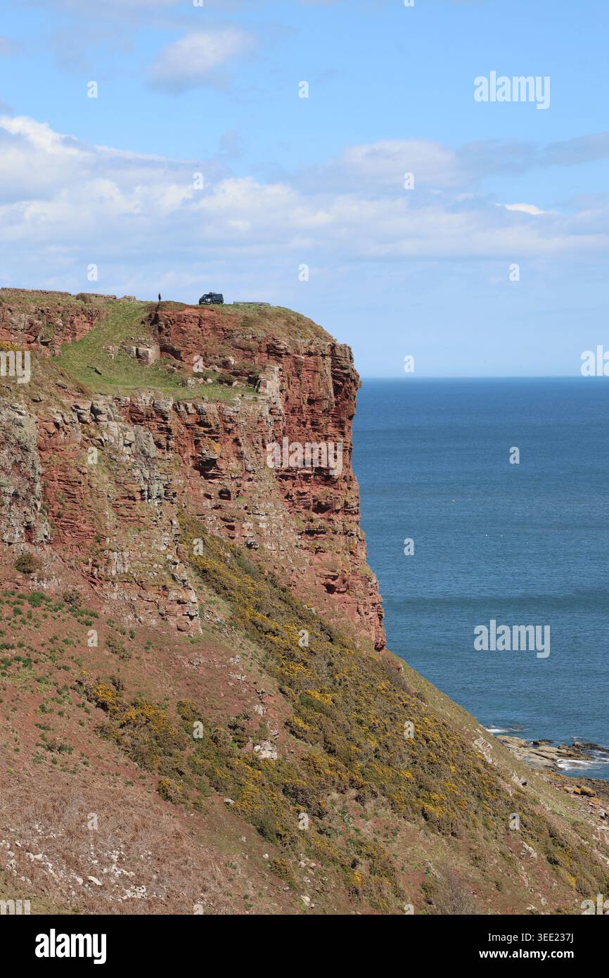 Falaises de grès rouge près d'Ethie Angus Écosse mai 2026 Banque D'Images
