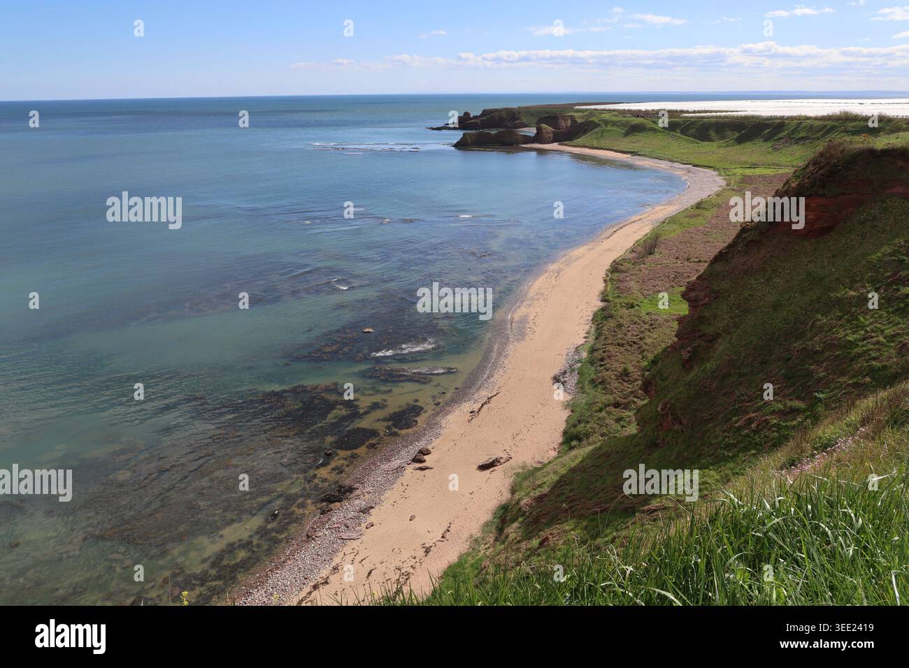 Falaises de grès rouge et sable doré Carlingheugh Bay Angus Écosse mai 2026 Banque D'Images