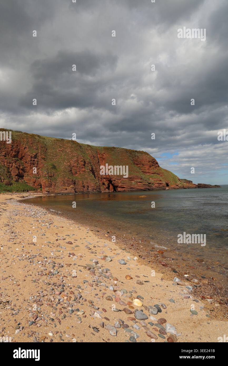 Falaises de grès rouge et sable doré Carlingheugh Bay Angus Écosse mai 2026 Banque D'Images