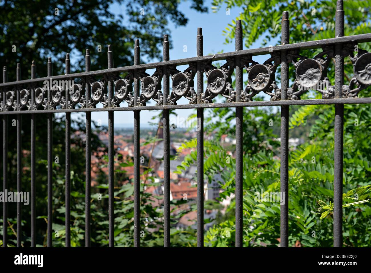 2019, Heidelberg, Deutschland, Allemagne, une clôture faite de barres de fer, une clôture en fer forgé Banque D'Images