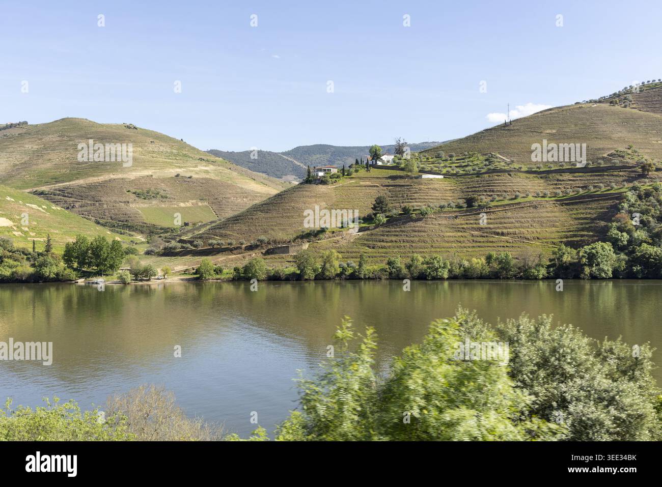Vue sur le fleuve Douro qui coule devant des vignobles en terrasses et des maisons blanches sur des collines ondulantes sous un ciel bleu clair Portugal. Banque D'Images
