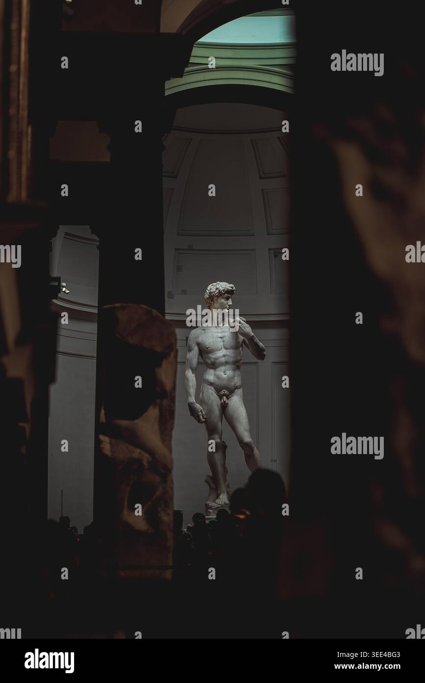 L'emblématique statue de marbre « David » de Michel-Ange, exposée bien en vue dans la Galerie de l'Académie à Florence, en Italie. L'éclairage met en évidence le i. Banque D'Images