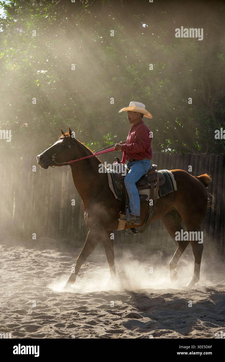 Cow-boy à cheval naviguant dans une arène sablonneuse, créant un nuage de poussière illuminé par de forts rayons de soleil qui se déversent à travers les arbres - photo de stock Banque D'Images