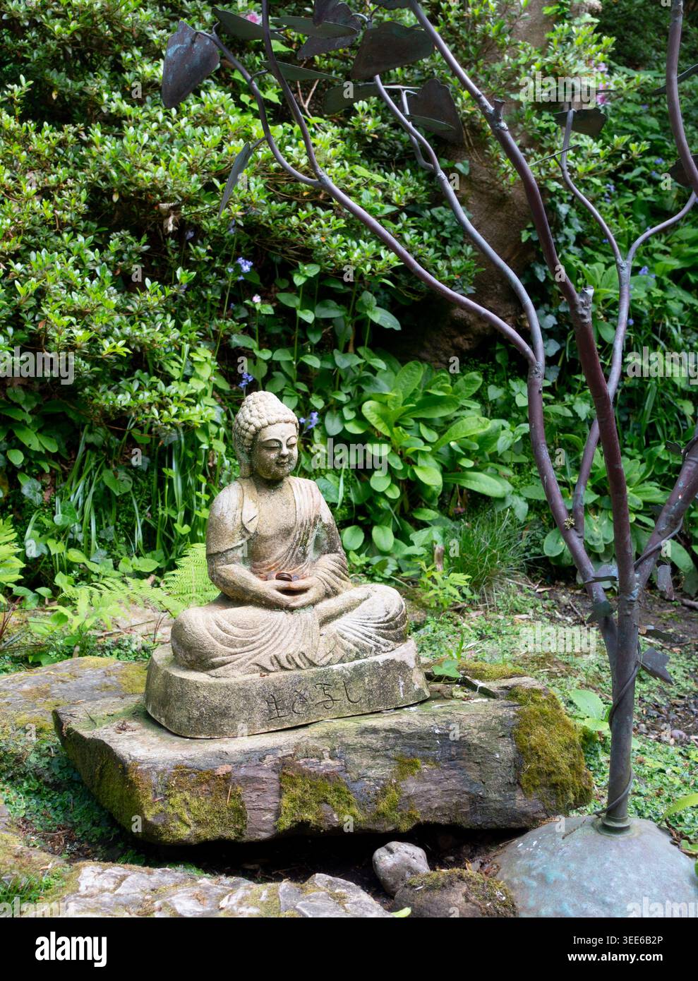 Le jardin japonais, village de St Mawgan, Nr Newquay, Cornouailles Banque D'Images