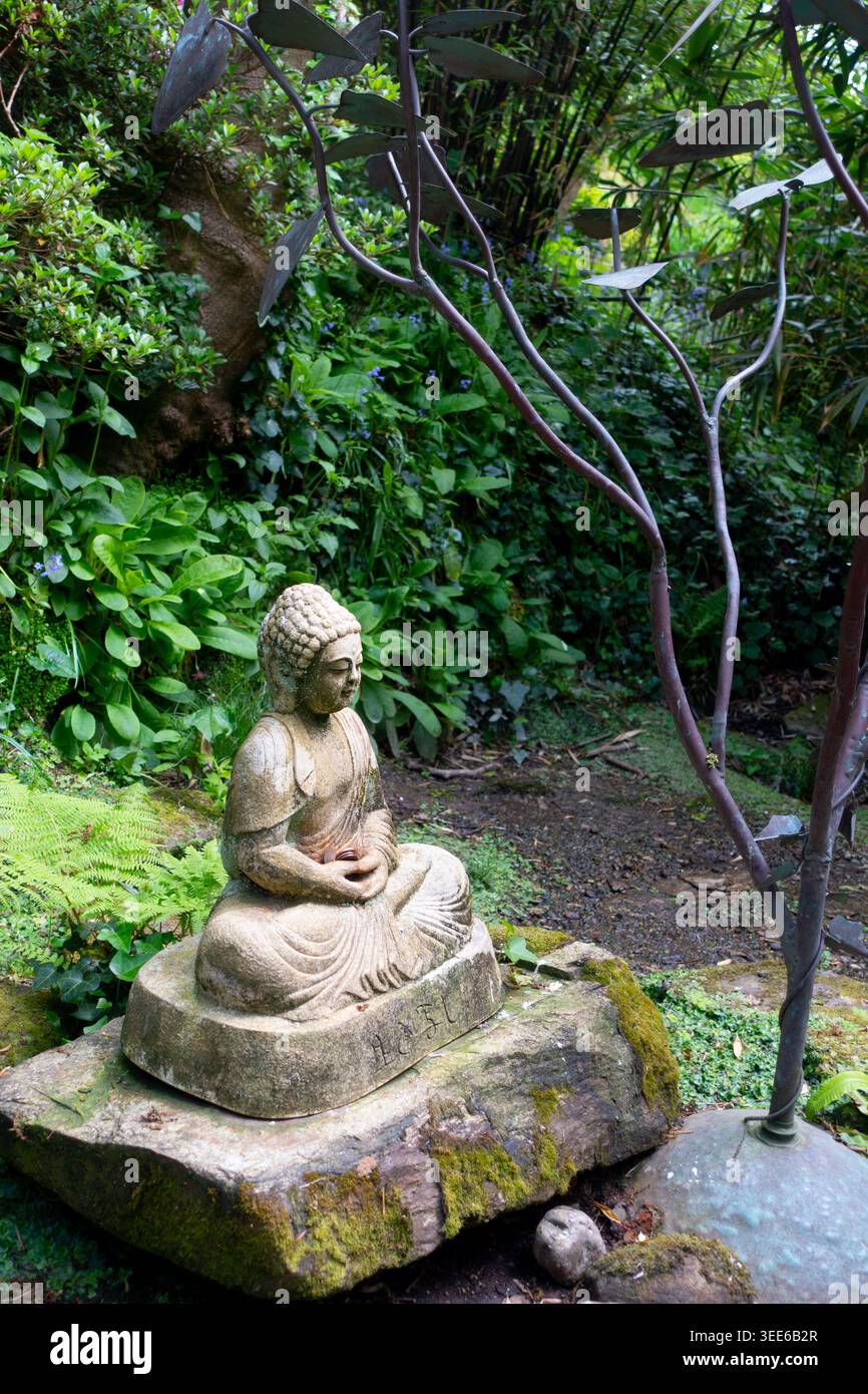 Le jardin japonais, village de St Mawgan, Nr Newquay, Cornouailles Banque D'Images