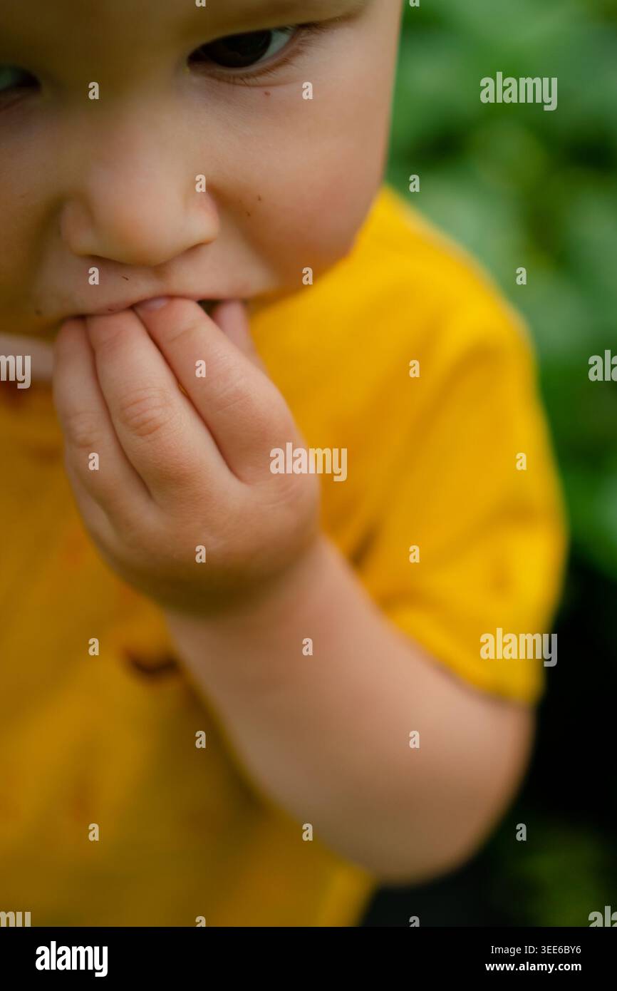 Un tout-petit mange joyeusement des baies juteuses cueillies directement dans un buisson de fraises tout en étant assis dans le jardin. la joie de manger naturel et non transformé et les bienfaits de fruits frais et riches en fibres pour les enfants Banque D'Images