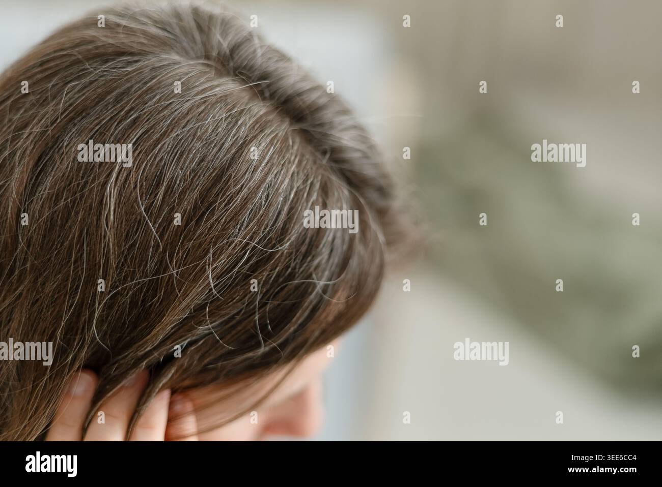 Une femme accepte le vieillissement naturel en regardant ses cheveux grisonnés avec calme. L'adulte mature voit les brins d'argent comme des signes normaux de vieillir. Mère embrasse gracieusement le passage du temps. Banque D'Images