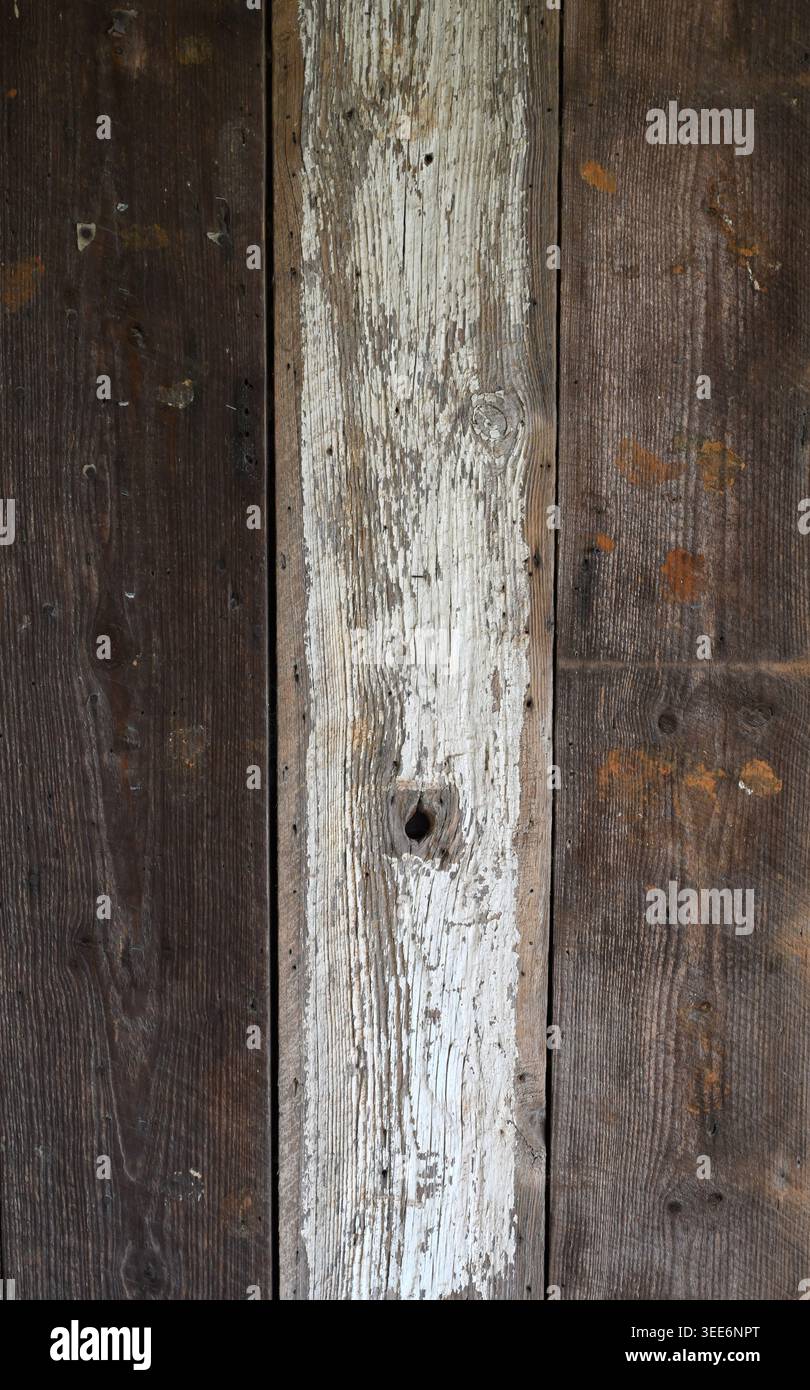 Surface de parement de panneau de bois récupéré avec un panneau central peint en blanc montrant la peinture fissurée, usée et écaillée qui révèle le grain naturel du bois Banque D'Images