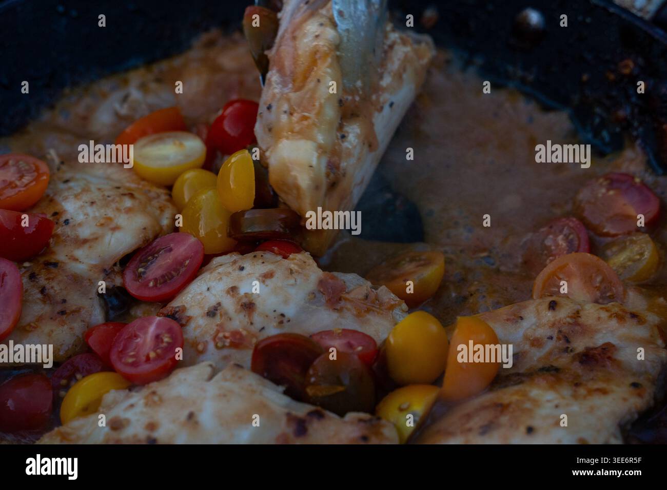 Vue de filets de poulet cuisant dans une poêle avec des tomates cerises fraîches et une sauce salée Moab, Utah, États-Unis. Banque D'Images