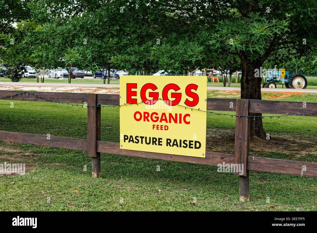 Enseigne vendant des œufs biologiques et des poulets élevés pâturés produisant des œufs frais de ferme à Pike Road Alabama, États-Unis. Banque D'Images