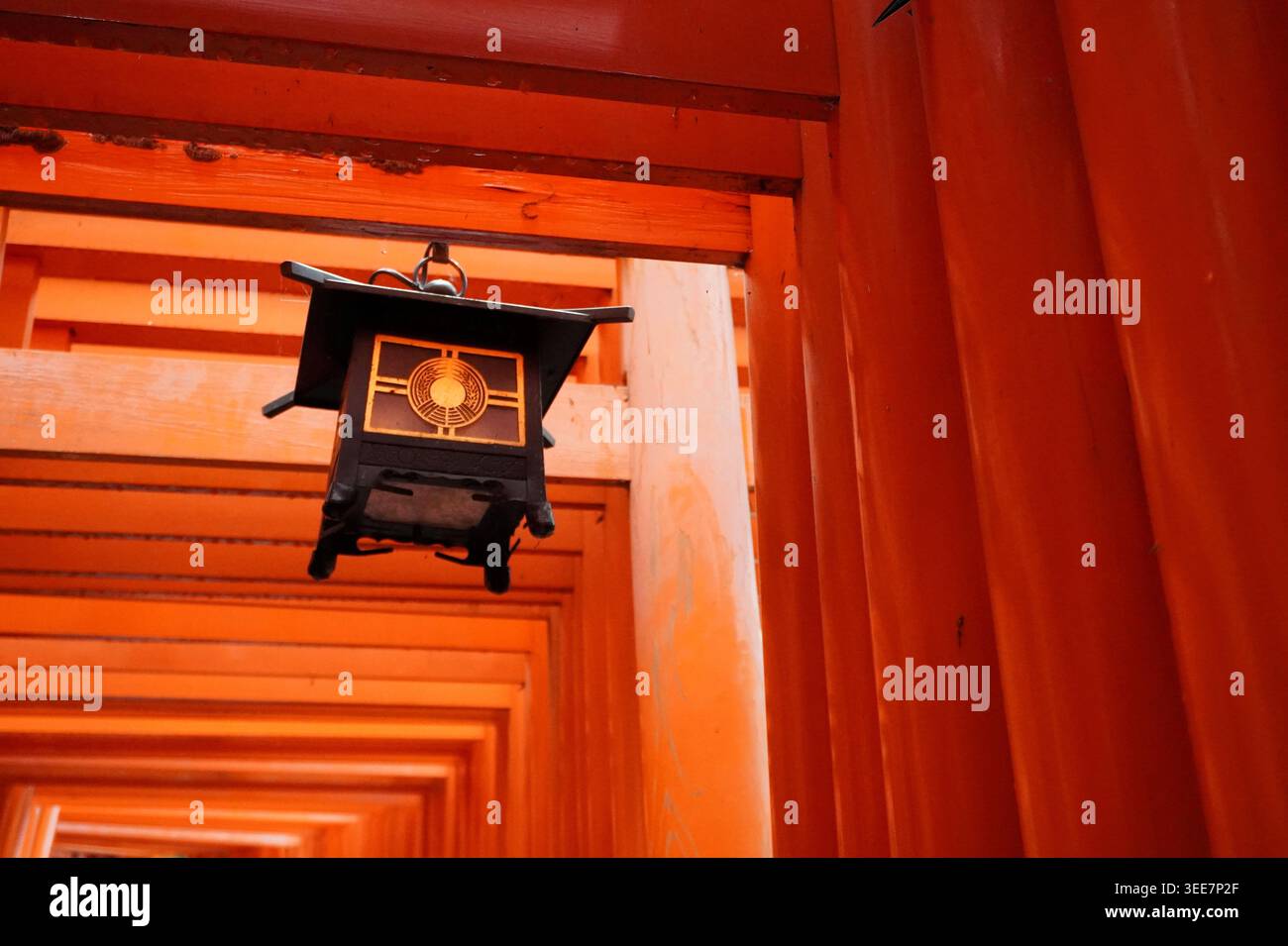 Lanterne japonaise traditionnelle suspendue à l'intérieur des portes Vermilion Torii Banque D'Images