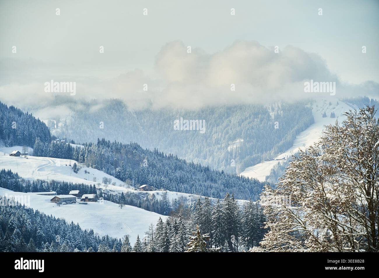 Paysage hivernal pittoresque de montagnes enneigées, chalets éparpillés et arbres givrés sous de doux nuages bas. Banque D'Images