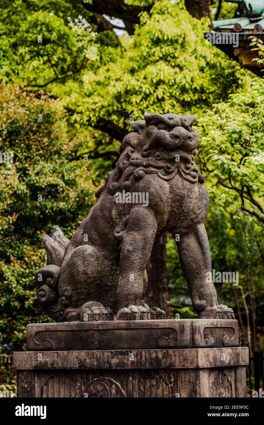 Statue gardienne en pierre de chien lion komainu sur piédestal entourée d'une végétation luxuriante au sanctuaire Nezu, quartier Bunkyō, Tokyo, Japon Banque D'Images